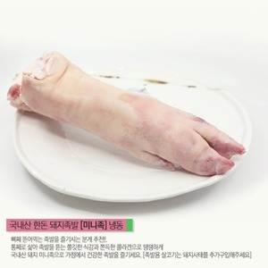 e로운포크 돼지족 [미니족] 1kg